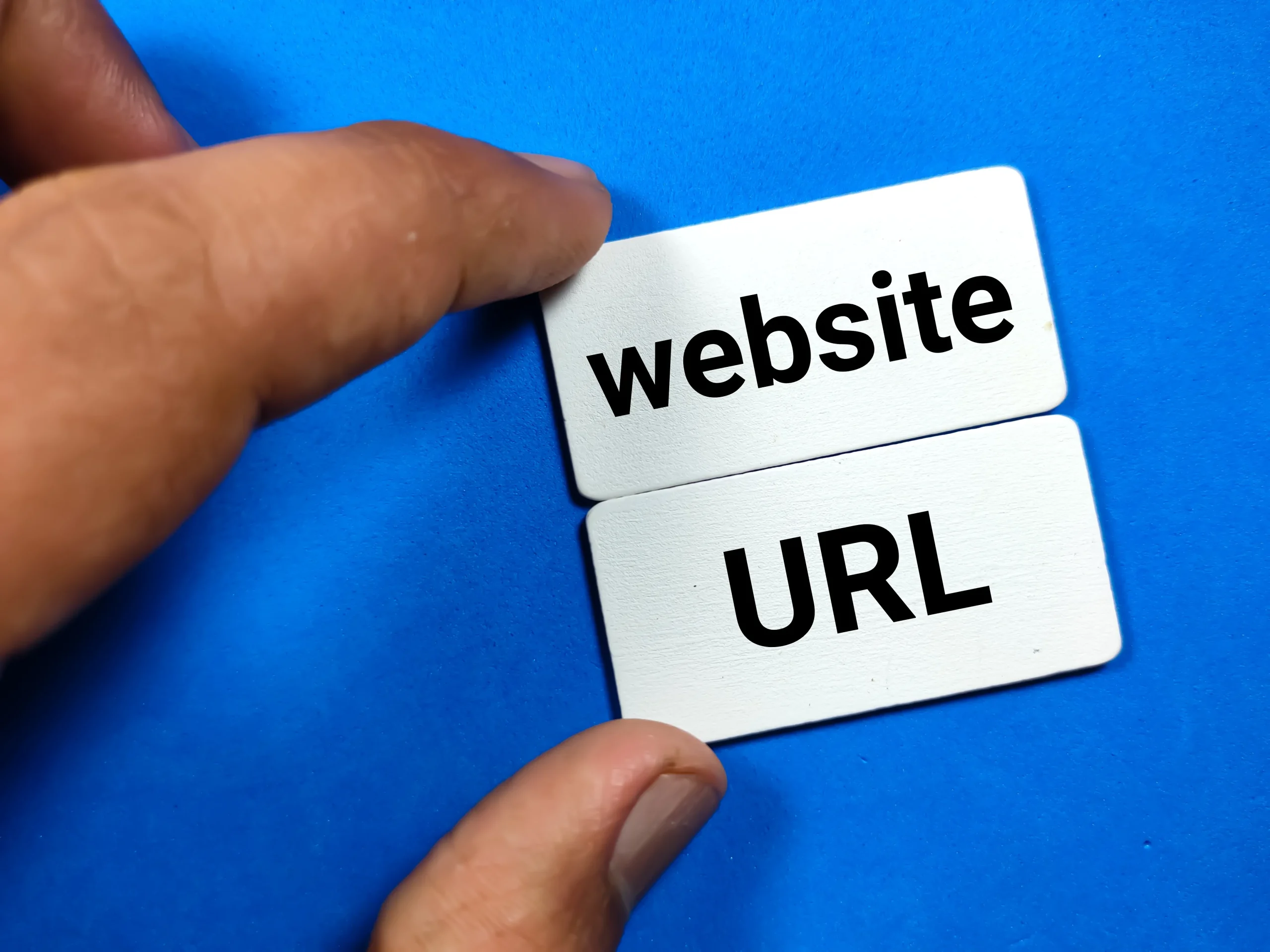 Google Ads vs Meta Ads: cuál elegir
